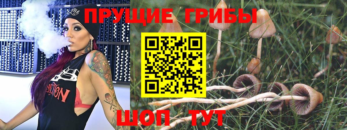 Ессентуки  Галлюциногенные грибы Magic Shrooms  купить   Вход с VPN 