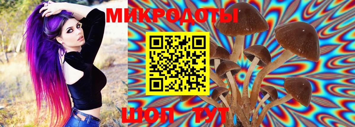 Галлюциногенные грибы Cubensis Ессентуки