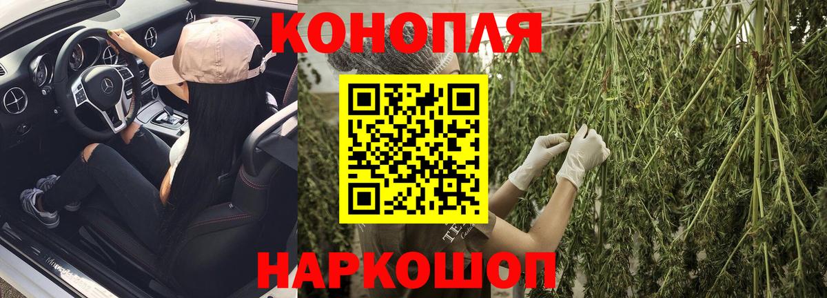 Шишки марихуана White Widow Ессентуки